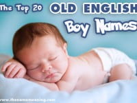 Top 20 Old English Boy Names for Baby